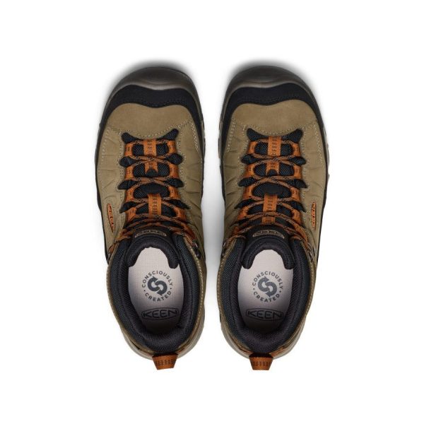 Men's Targhee IV Waterproof Hiking Boot | Sea Turtle/Roasted Pecan