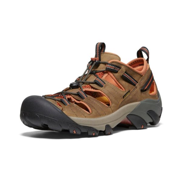 Men's Arroyo II | Black Olive/Bombay Brown