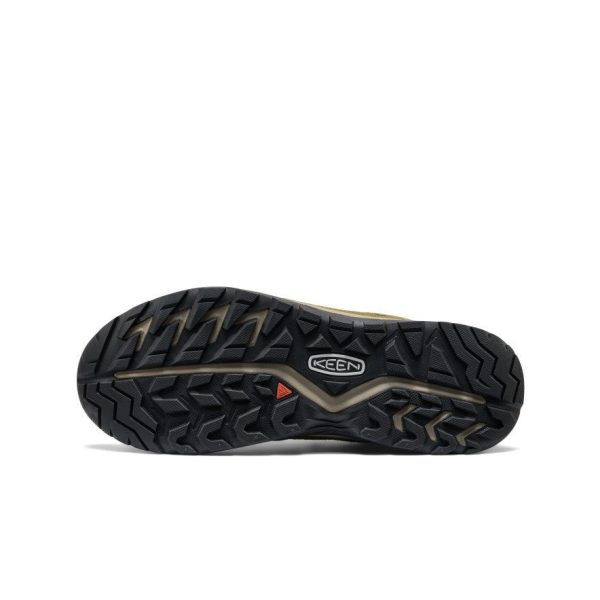 Men's Hightrail Waterproof Hiking Shoe  |  Forest Night/Dark Olive