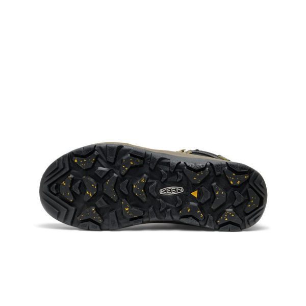 Men's Revel IV Polar Waterproof Boot | Black/Lemon Curry