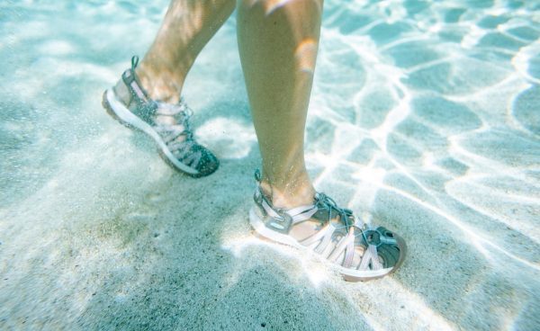 Women's Whisper | Timberwolf/Tarragon